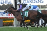 Prince Cheri kicks off low key Caulfield Cup campaign at Moonee Valley