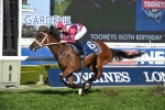 Waller in no hurry to replace Enticing Star in The Everest