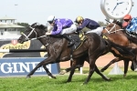 Noire’s Epsom Handicap price slashed after Shannon Stakes win