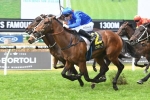 Vinland’s ability to be tested in Sandown Guineas