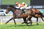 Epsom Handicap undecided for Shannon Stakes winner Washington Heights