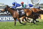 Allergic To The Metropolitan Following Queen’s Cup Win Allergic To The Metropolitan Following Queen’s Cup Win