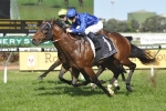 Impending draws wide barrier in Ladbrokes Caulfield Guineas