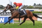 Press Statement heads 2015 Caulfield Guineas field