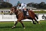 2015 Spring Champion Stakes Tips: Vanbrugh The Horse To Beat 2015 Spring Champion Stakes Tips: Vanbrugh The Horse To Beat
