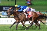 Abduction Could Surprise At Big Coolmore Classic Odds Abduction Could Surprise At Big Coolmore Classic Odds