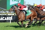 Consistent Support For Rock Sturdy In Emirates Stakes Betting Consistent Support For Rock Sturdy In Emirates Stakes Betting