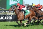 Consistent Support For Rock Sturdy In Emirates Stakes Betting