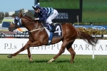 Shooting To Win On Top Of Hobartville Stakes Betting