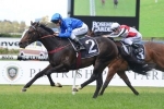 O’Shea hopeful Sweynesse will sneak into Doncaster Mile field