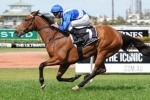 More Than Ready Filly To Debut At Rosehill