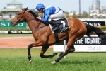 More Joyous rests at Strawberry Hill Stud as more drama brews