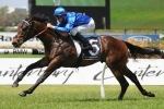 Golden Slipper 2015: Bowman Hopeful Furnaces Can Turn The Tables Golden Slipper 2015: Bowman Hopeful Furnaces Can Turn The Tables