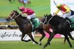 Wine Tales Hard To Beat In City of Greater Dandenong Stakes