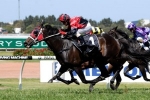 Hoylonny To Return In Shannon Stakes Hoylonny To Return In Shannon Stakes