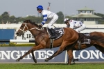 All-Star Mile or Sydney Autumn Campaign for Kolding