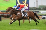 Zanbagh Primed for Queen Of The Turf Stakes Zanbagh Primed for Queen Of The Turf Stakes