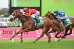 Razor Sharp Handicap Performance To Decide Next Race Start For Dothraki Razor Sharp Handicap Performance To Decide Next Race Start For Dothraki