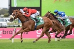 Tougher Test For Dothraki In Starlight Stakes