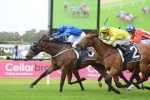 Midsummer Sun Can Turn The Tables On Malice In ATC Cup Midsummer Sun Can Turn The Tables On Malice In ATC Cup