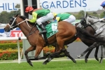 Waller Believes Heart Testa Deserves Listed Win In Razor Sharp Handicap Waller Believes Heart Testa Deserves Listed Win In Razor Sharp Handicap