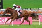 Memorial Ready To Fire In Light Fingers Stakes Memorial Ready To Fire In Light Fingers Stakes