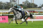 White Sage won’t surprise O’Shea with Breeders Classic win White Sage won’t surprise O’Shea with Breeders Classic win
