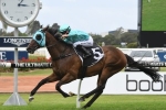 Parr Back On Cabeza De Vaca in Villiers Stakes