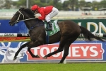I Am Zelady To Skip Wyong Magic Millions Stakes