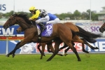 Festival Stakes placegetters among Villiers Stakes nominations Festival Stakes placegetters among Villiers Stakes nominations
