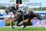 Harrier Jet Can Return To Winning Form In Eskimo Prince Stakes Harrier Jet Can Return To Winning Form In Eskimo Prince Stakes