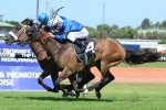 Malice up to 2200m of the Tattersall’s Cup for first time