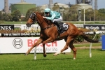 Maluckyday on trial for Autumn Carnival campaign