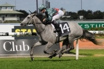 White Sage To Face Toughest Test In Breeders Classic
