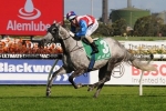 Zaratone To Step Up To 1400 Metres This Weekend