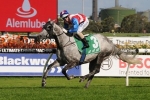 Warwick Stakes 2015: O’Hara Not Ruling Zaratone Out Warwick Stakes 2015: O’Hara Not Ruling Zaratone Out