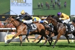 Sweet Redemption among small nominations for Brisbane Handicap
