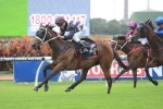 Quick Back-Up No Concern For Saigon Tea In Christmas Cup Quick Back-Up No Concern For Saigon Tea In Christmas Cup