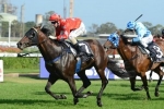 Ryan Does Not Rate Dances On Stars’ Victory Stakes Chances Ryan Does Not Rate Dances On Stars’ Victory Stakes Chances