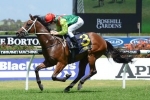 Heart Testa Upstages Group 1 winners