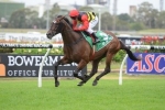 Dyer Happy With 2014 Darwin Cup Chances