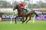 Dyer Happy With 2014 Darwin Cup Chances Dyer Happy With 2014 Darwin Cup Chances