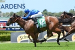 Mesa lays claims from Blue Diamond Stakes