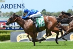 O’Shea has strong team of 2yos heading to Blue Diamond Stakes