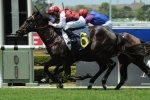 Snowden Expecting Improved Effort From Kumaon In Champagne Stakes 2014