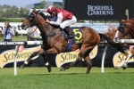 Snowden Confident Limes Can Maintain Good Form Snowden Confident Limes Can Maintain Good Form