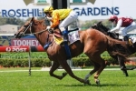Conners hoping for drying Canterbury track for Decision Time Conners hoping for drying Canterbury track for Decision Time