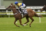 Silk Stocking fancy Estonian Princess on trial for Tattersall’s Tiara Silk Stocking fancy Estonian Princess on trial for Tattersall’s Tiara