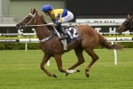 Silk Stocking fancy Estonian Princess on trial for Tattersall’s Tiara