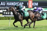 Lanciato gets good track for 2018 Newcastle Newmarket Handicap
